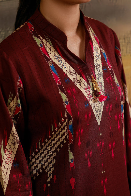 3 Piece - Printed & Embroidered Suit - C6389