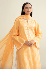 2 Piece - Embroidered Suit - C6267