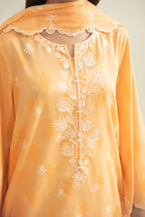 2 Piece - Embroidered Suit - C6267