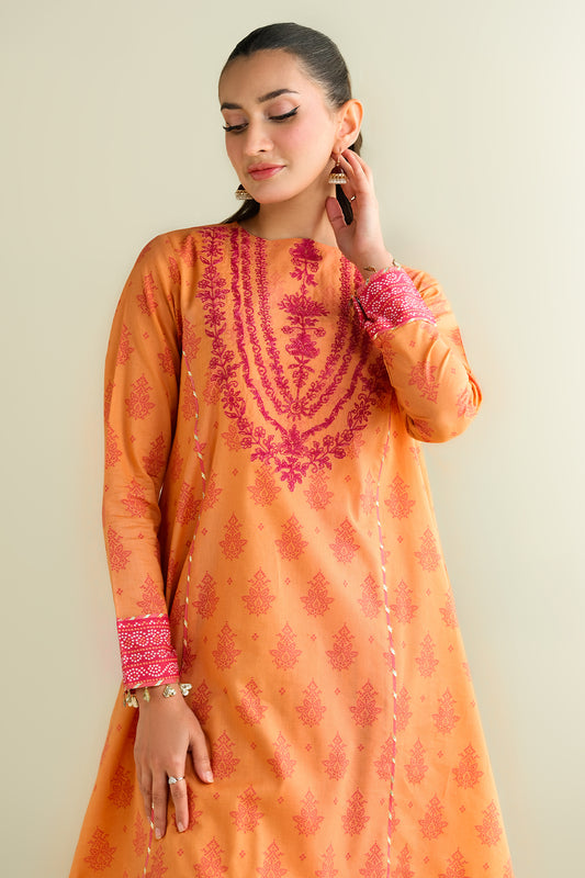 2 Piece - Printed Embroidered Suit - C6109