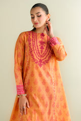 2 Piece - Printed Embroidered Suit - C6109