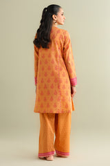 2 Piece - Printed Embroidered Suit - C6109
