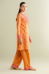 2 Piece - Printed Embroidered Suit - C6109