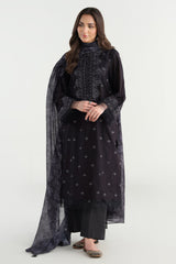 2 Piece - Printed & Embroidered Suit - C6203
