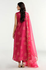 3 Piece -  Embroidered Suit - C6223