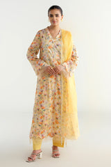 3 Piece - Printed & Embriodered Suit - C6235
