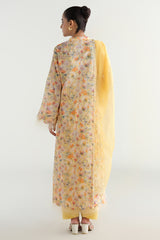 3 Piece - Printed & Embriodered Suit - C6235