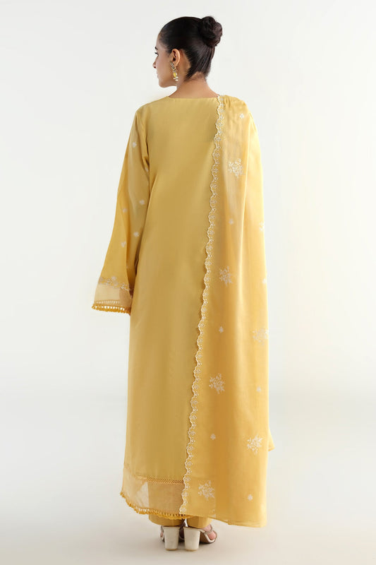 3 Piece -  Embroidered Suit - C6238