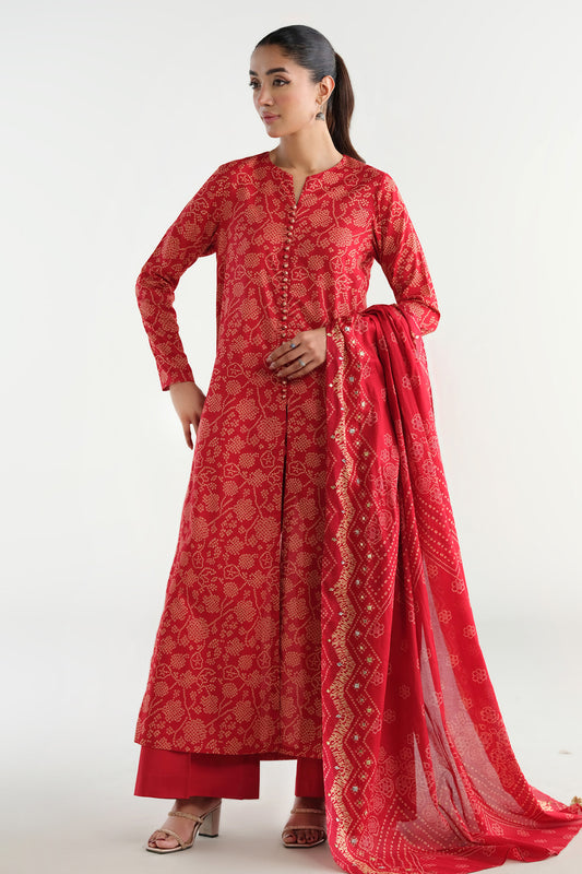 2 Piece - Printed Embellished Suit - C6263