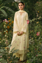 3 Piece - Embriodered Suit - C6280