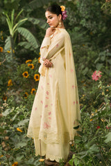 3 Piece - Embriodered Suit - C6280