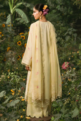 3 Piece - Embriodered Suit - C6280