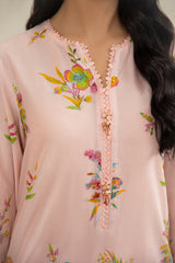 3 Piece - Embroidered Suit - C6291