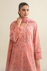 3 Piece - Printed & Embroidered Suit - C6327