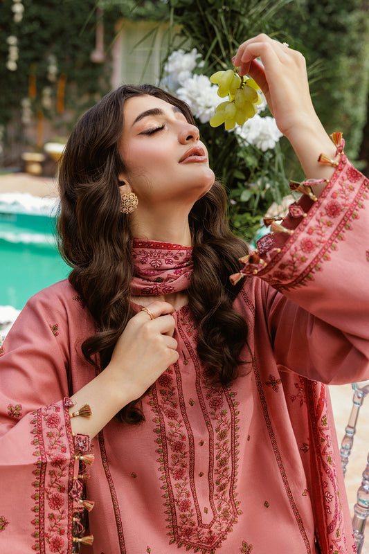 3 Piece - Printed & Embroidered Suit - C6352