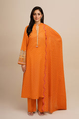 3 Piece - Printed & Embroidered Suit - C6367