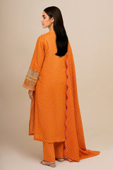 3 Piece - Printed & Embroidered Suit - C6367