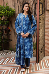 3 Piece - Printed & Embroidered Suit - C6401