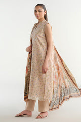 3 Piece - Printed & Embroidered Suit - C6244