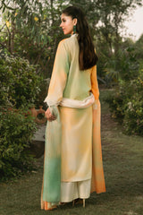 3 Piece - Printed & Embroidered Suit - C6299