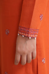 3 Piece - Embroidered Suit - E1804
