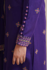 3 Piece - Embroidered Suit - E1816