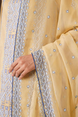 3 Piece - Embroidered Suit - E1838