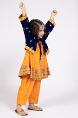 2 Piece Velvet And Pk Raw Silk Frock & Koti
