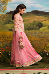 3 Piece Cotton Lawn Suit