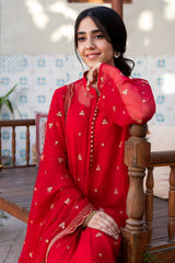 3 Piece - Embroidered Chiffon Suit