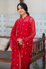3 Piece - Embroidered Chiffon Suit