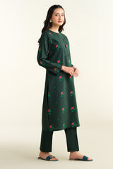 2 Piece-Embroidered Suit-KPS25-P3203
