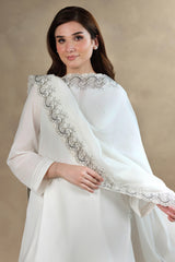 Embroidered Dupatta - MC1823
