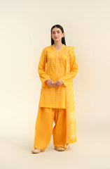 3 Piece - Printed
 Suit - X6225