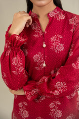2 Piece - Printed Suit - X6258