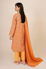 3 Piece - Printed Suit - X7136