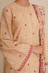 3 Piece - Printed & Embroidered Suit - C6397