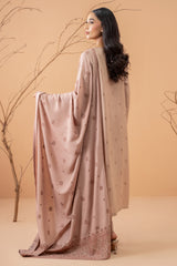 3 Piece - Embroidered Karandi Suit - C6076-1