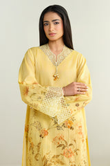 2 Piece - Printed Embroidered Suit - C6101