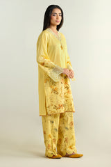 2 Piece - Printed Embroidered Suit - C6101