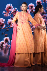 2 Piece - Printed Embroidered Suit - C6109