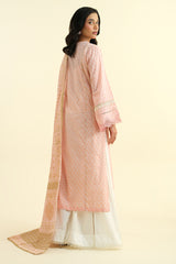 2 Piece - Printed Embroidered Suit - C6123