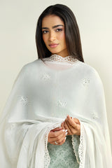 2 Piece - Printed Embroidered Suit - C6207