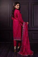 3 Piece Khaddar Suit
