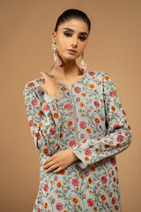 2 Piece - Embroidered Cotton Karandi Suit
