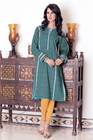 Fabric C 1667 (1PC)