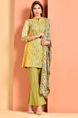 Dyed & Embroidered Suit