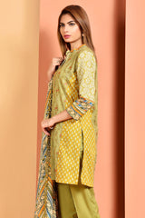 Dyed & Embroidered Suit