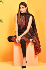 Dyed & Embroidered Suit
