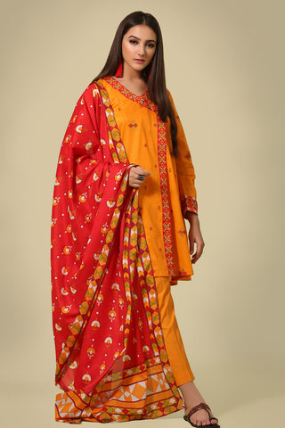 Printed & Embroidered suit